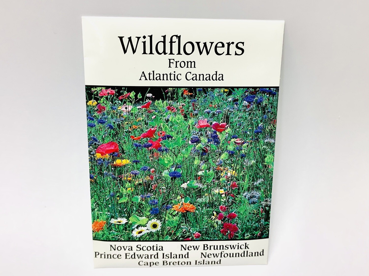 Wildflower Seeds 