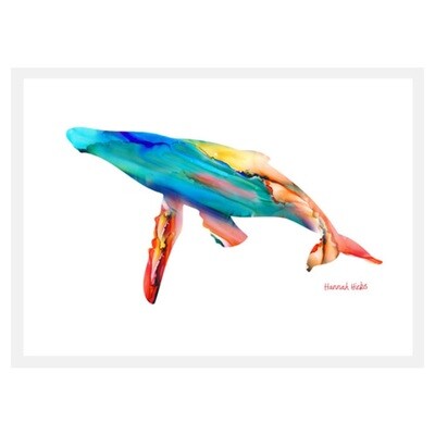Whale Card - Hannah Hicks Whale Card - Hannah Hicks