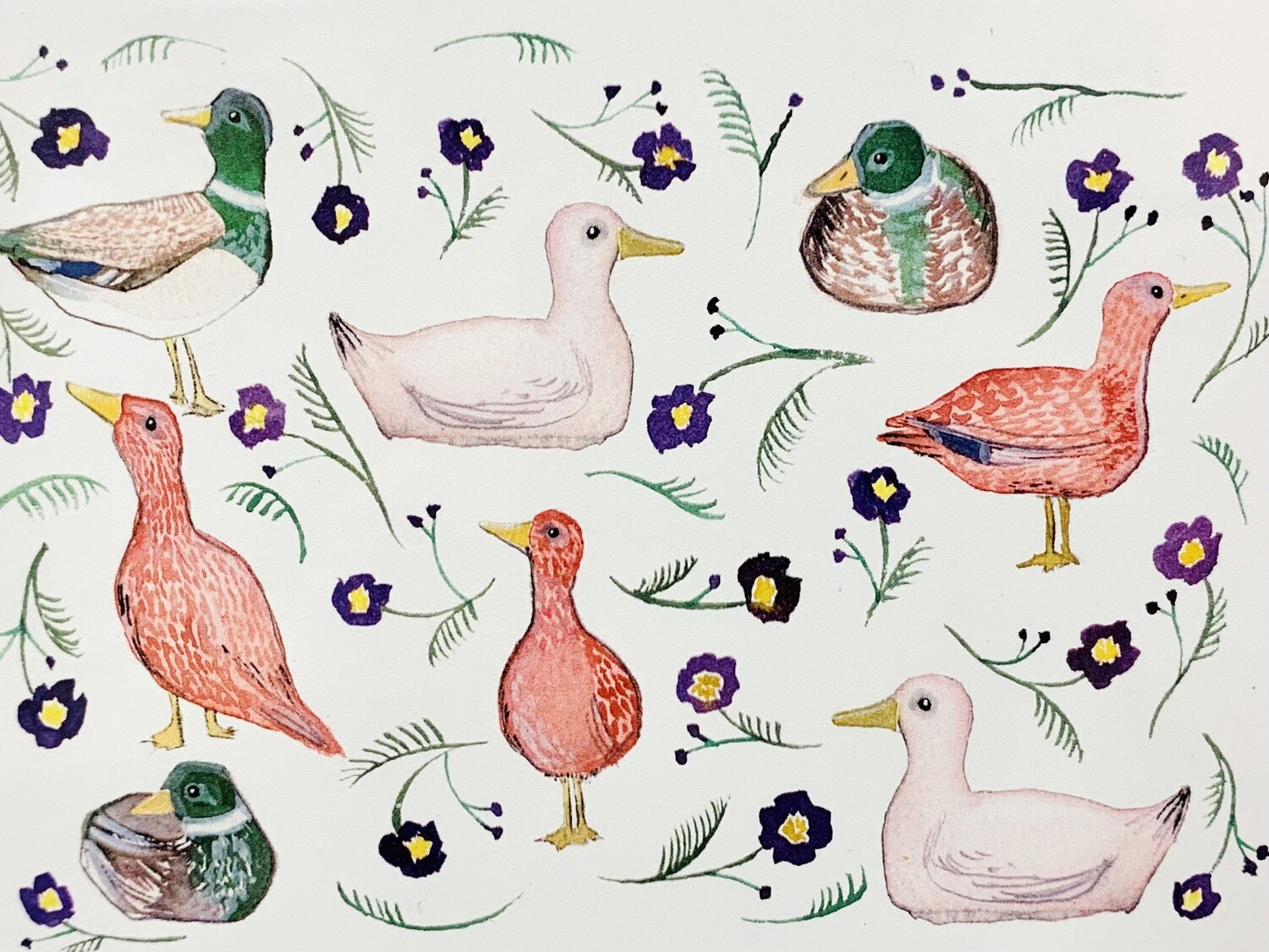 Ducks Card - Sarah Duggan