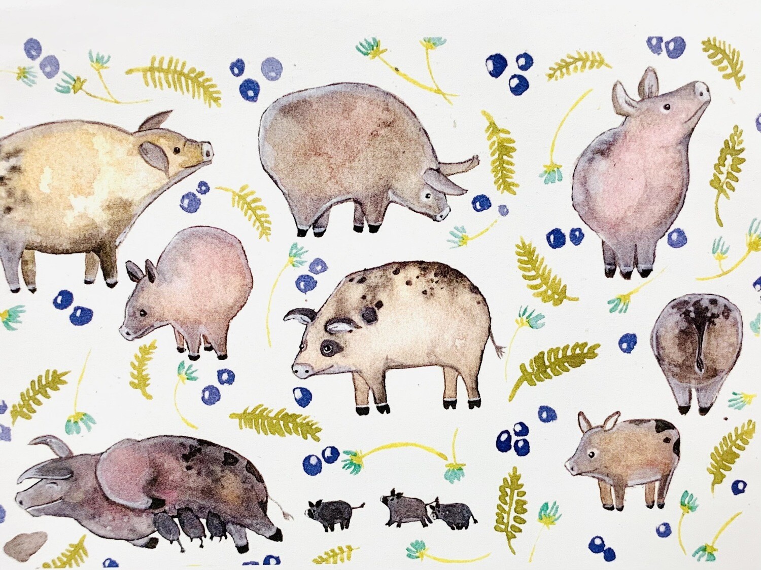 Pigs Card - Sarah Duggan