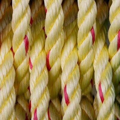 Yellow Lobster Rope Doormat 32" x 18"