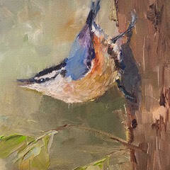 Singing on the Up-Swing, Nuthatch