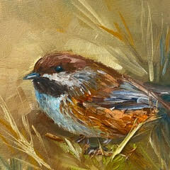 Nice to See You, Boreal Chickadee