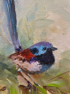 Good-Day to You, Splendid Fairywren