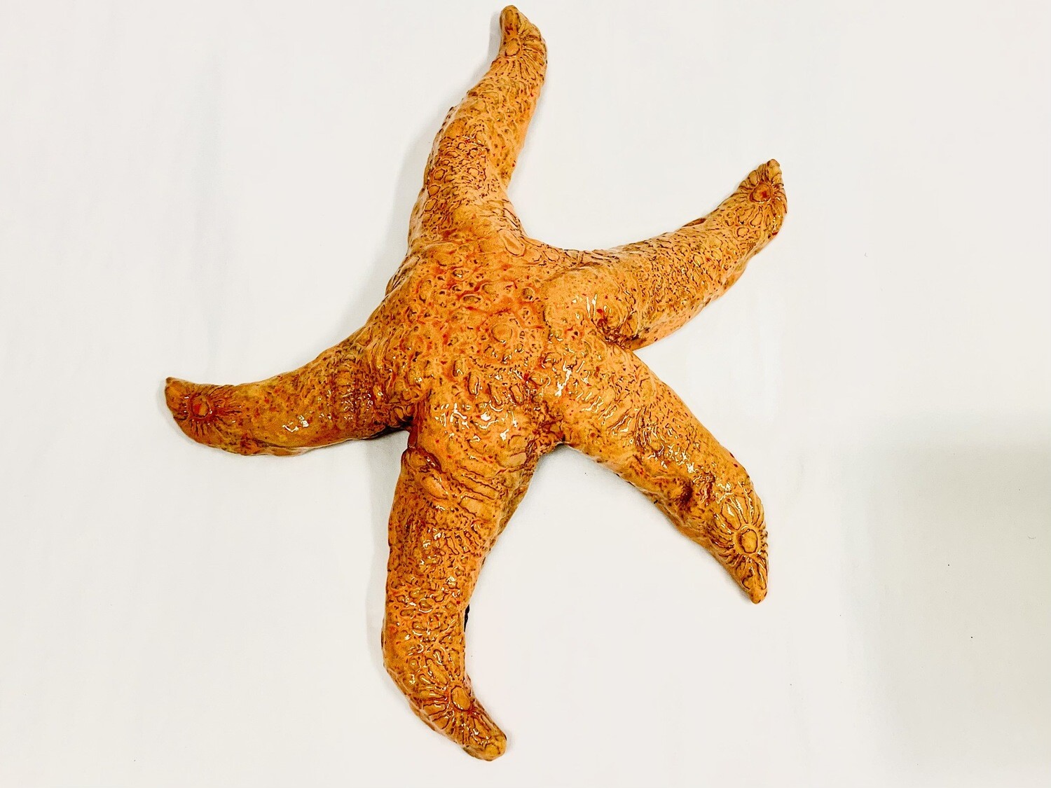Starfish- Mary Jane Lundy