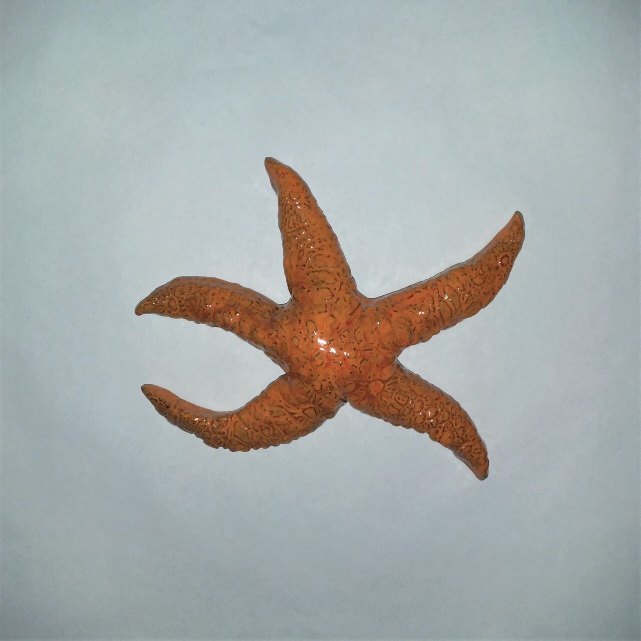 Starfish (Hydrostone)