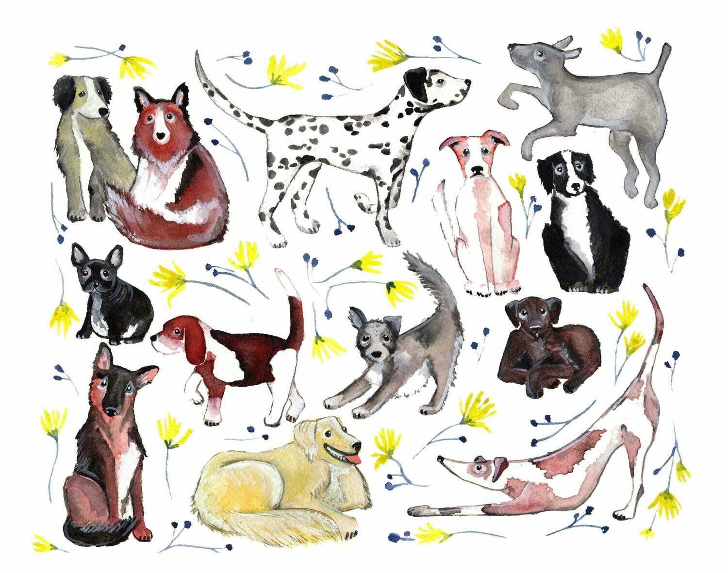 Dogs and Wildflowers - Sarah Duggan