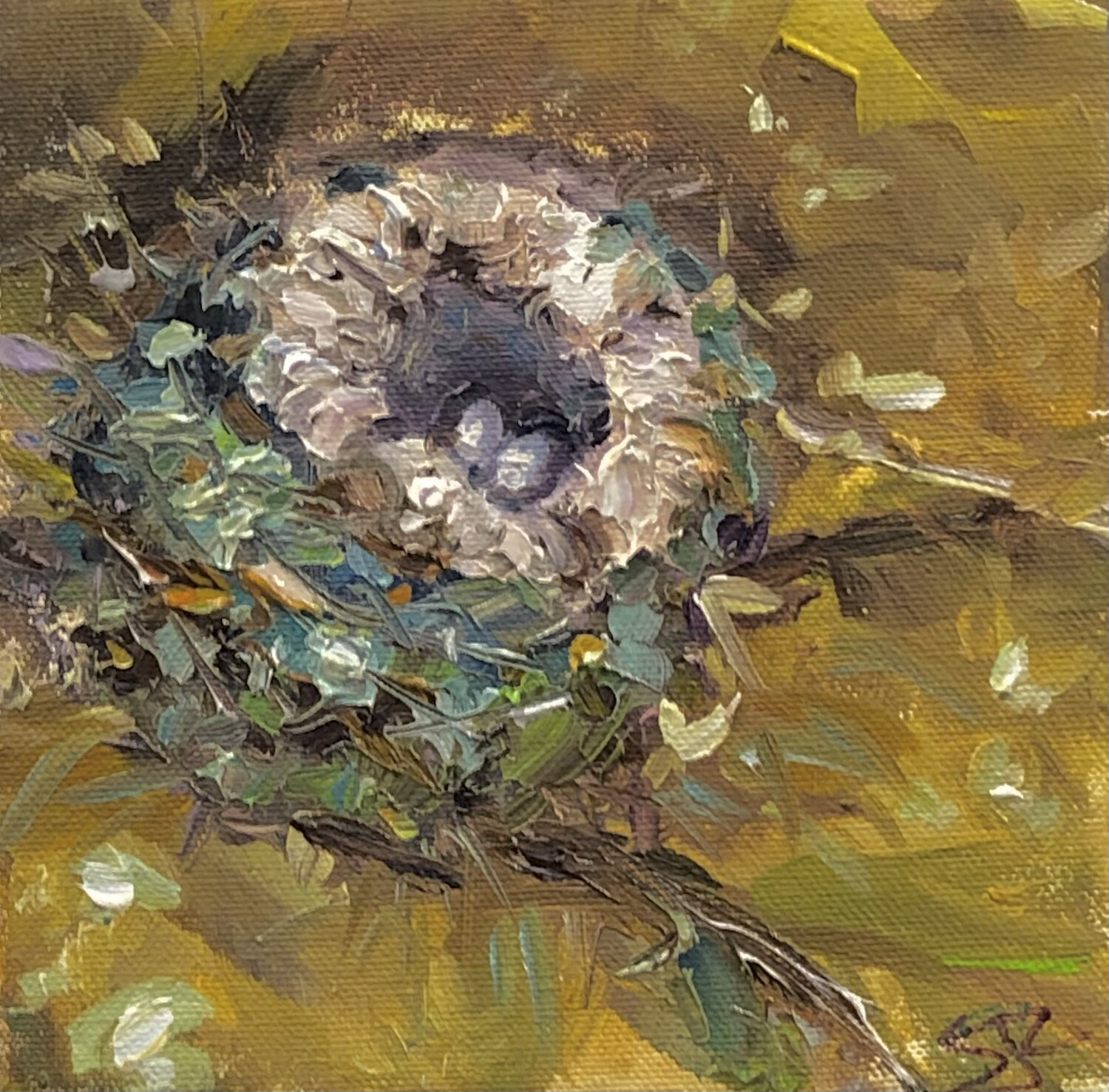 Circle of Life, Hummingbird Nest