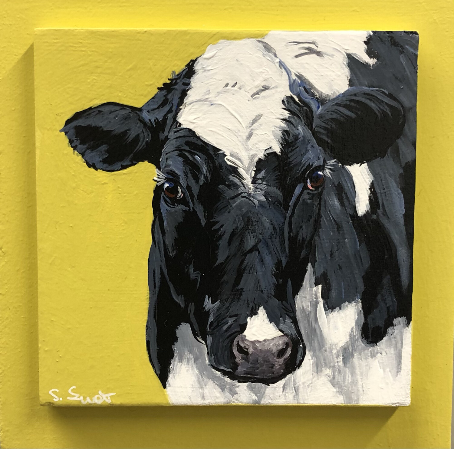 Holstein Heifer 2 on Spring Yellow