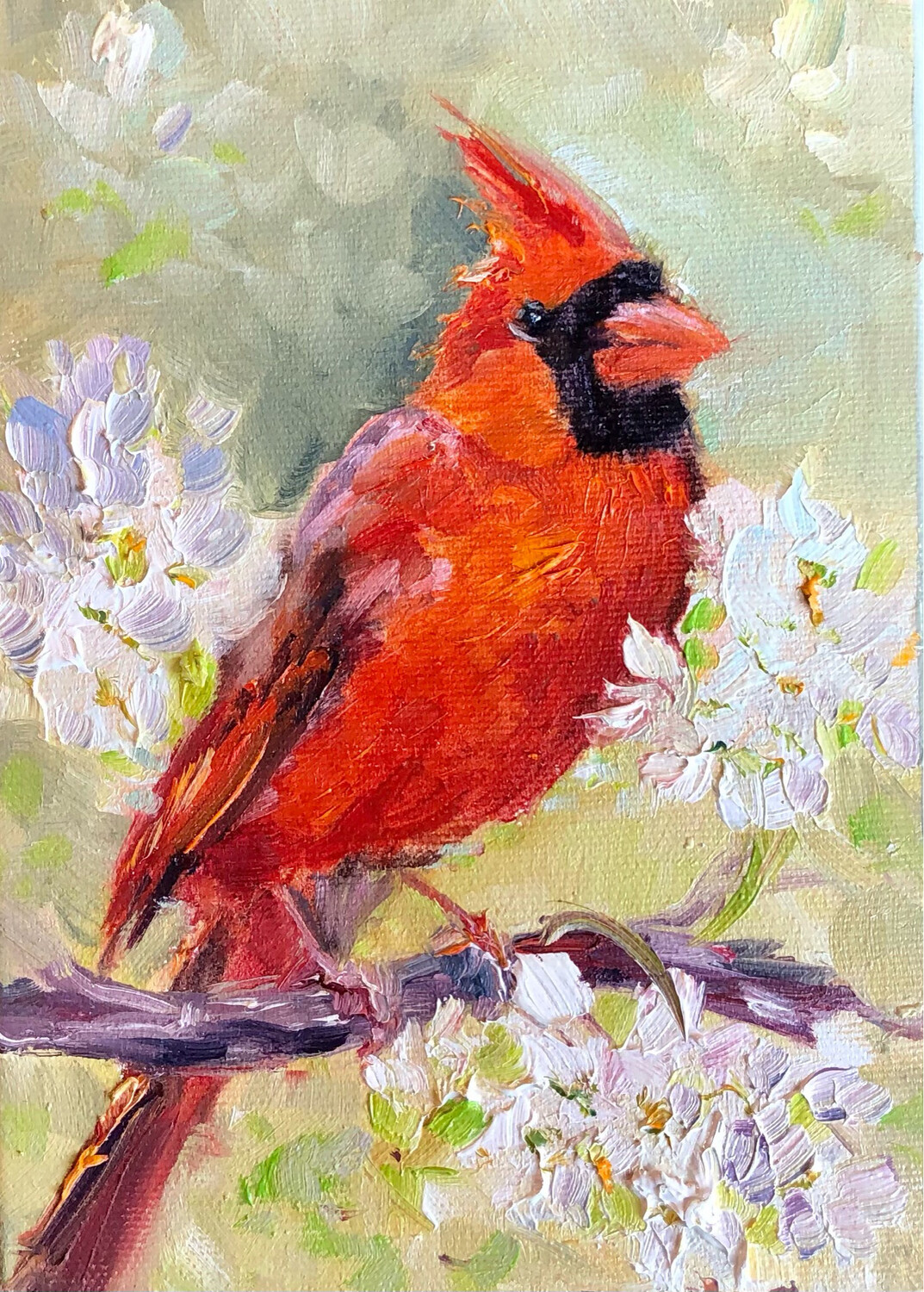 In for a Visit, Cardinal 