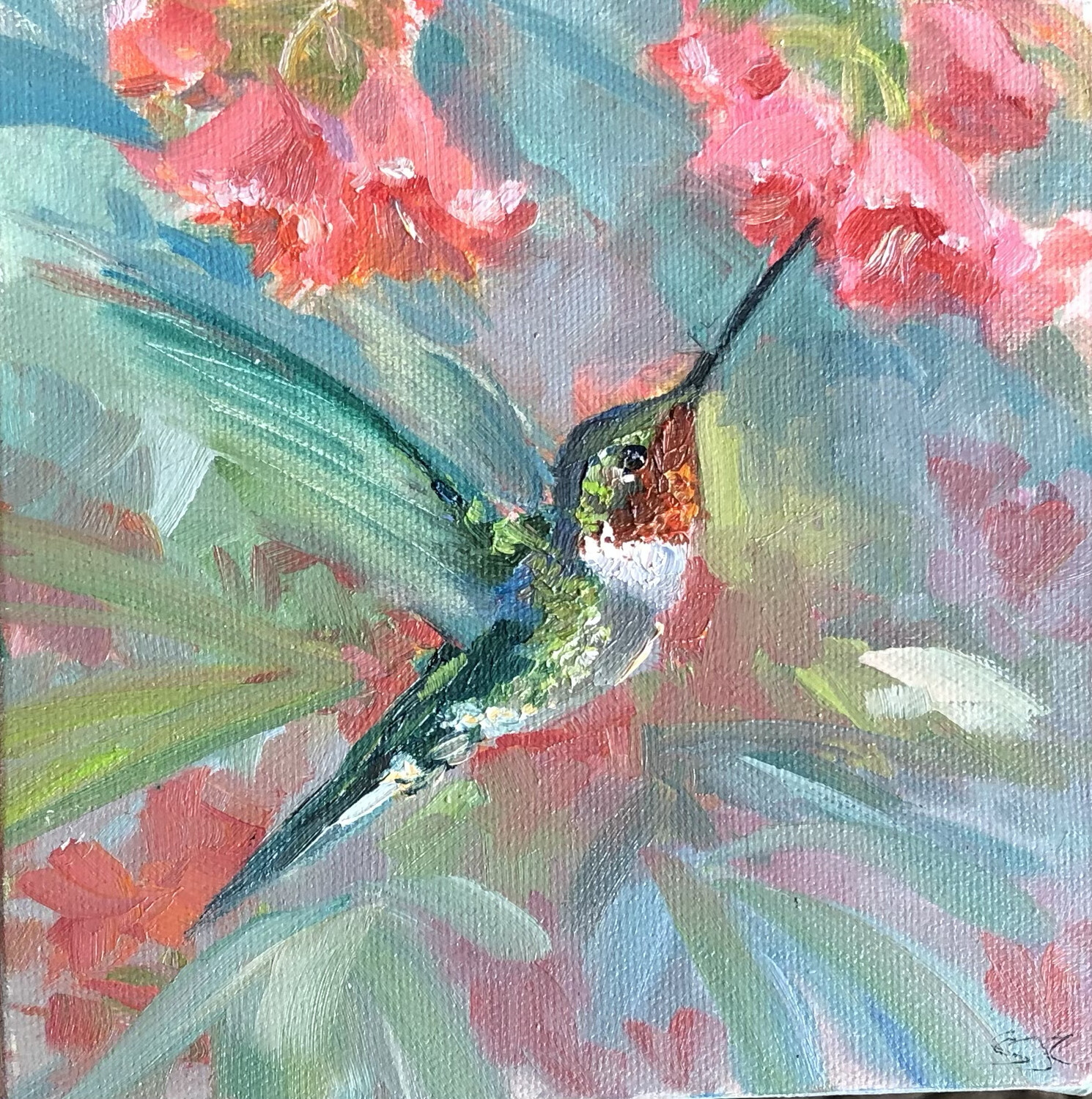 Open Heart, Hummingbird 