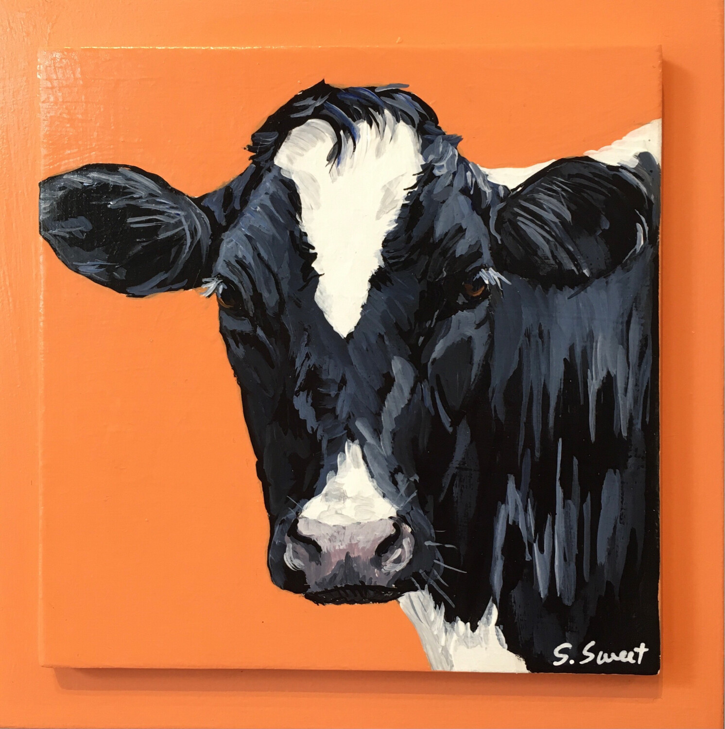 Holstein Cow on Light Canyon Orange #1