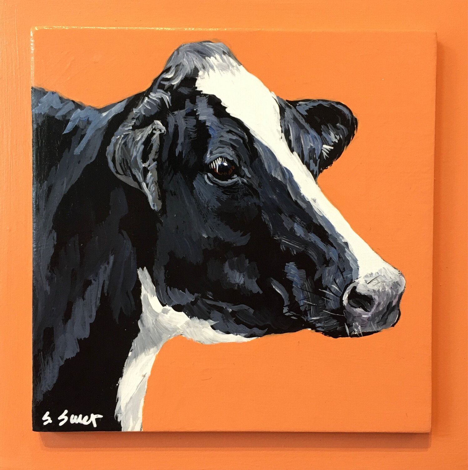 Holstein Cow on Light Canyon Orange #2