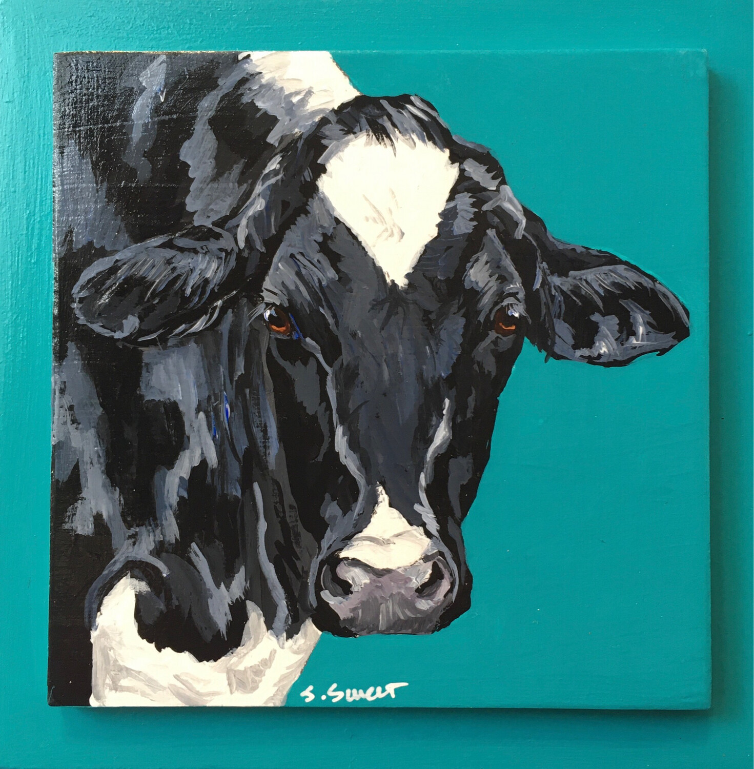 Holstein Cow on Peacock Teal