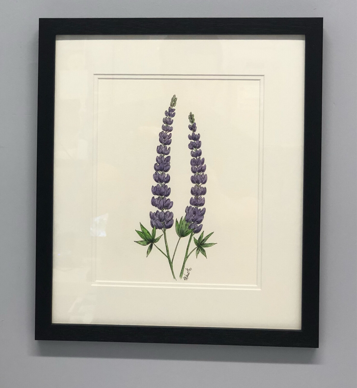 Purple Lupins - Amy Nemeth 