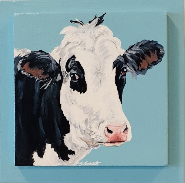 Jo the Holstein Cow on Light Blue