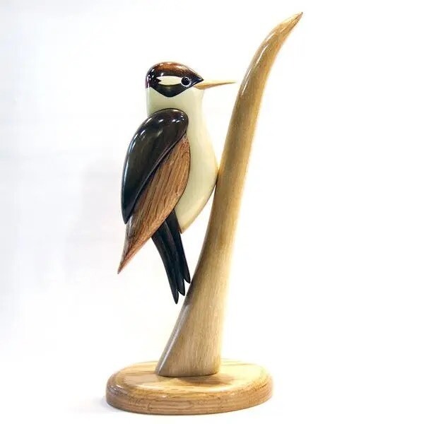 Downy Woodpecker Arbour 