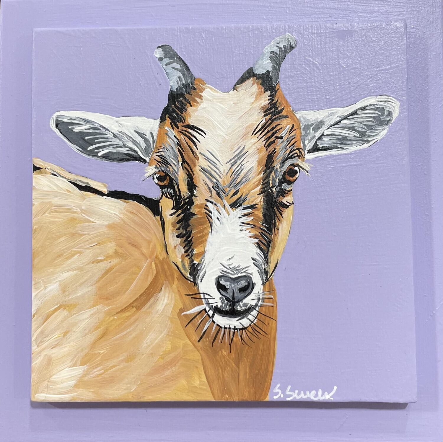 Millie the Goat on Lavender