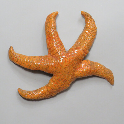 Starfish Orange (Hydrostone)
