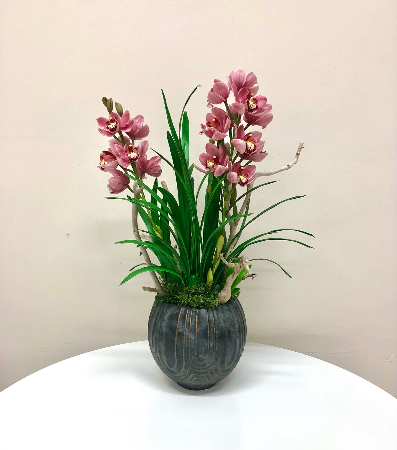 Extra Large Pink Cymbidium Orchid in Pot