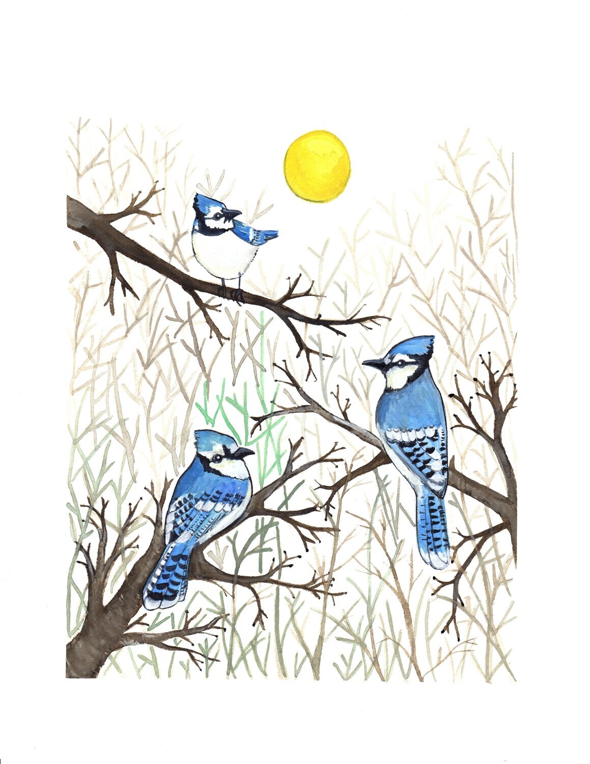Blue Jays print - Sarah Duggan 