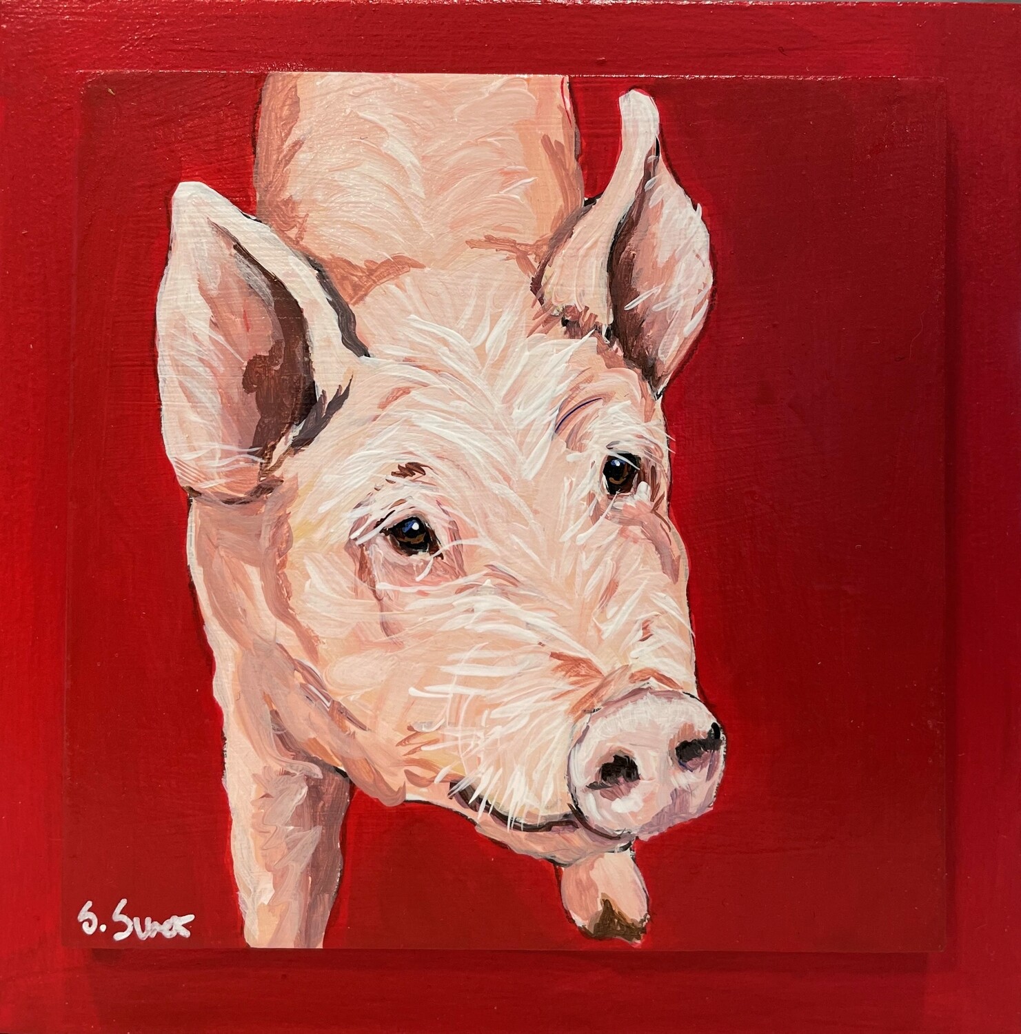 Richard the Pig on Red 