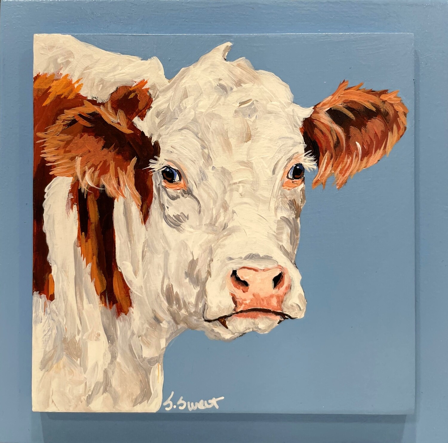Emily the Hereford on Baby Blue 