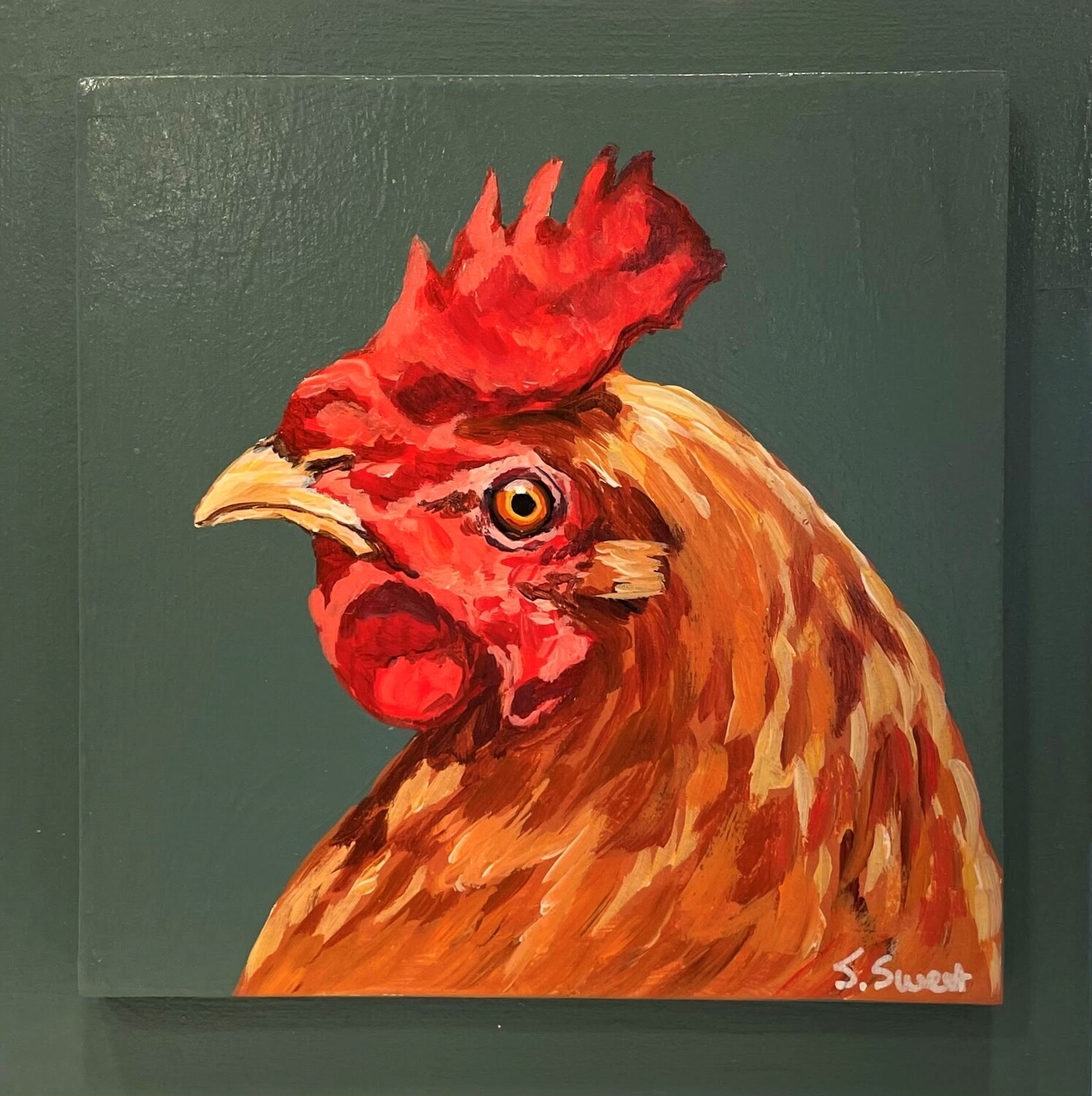 Sookie the Hen on Thicket