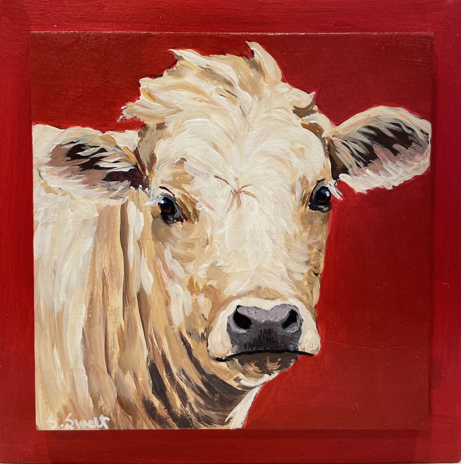 Logan the Simmental Cross on Red 