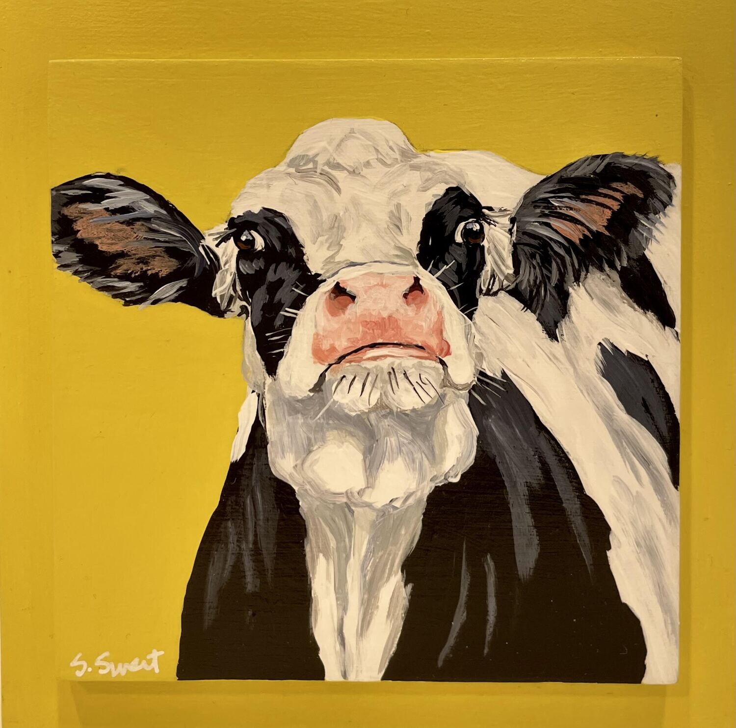 Babette the Holstein on Yellow 