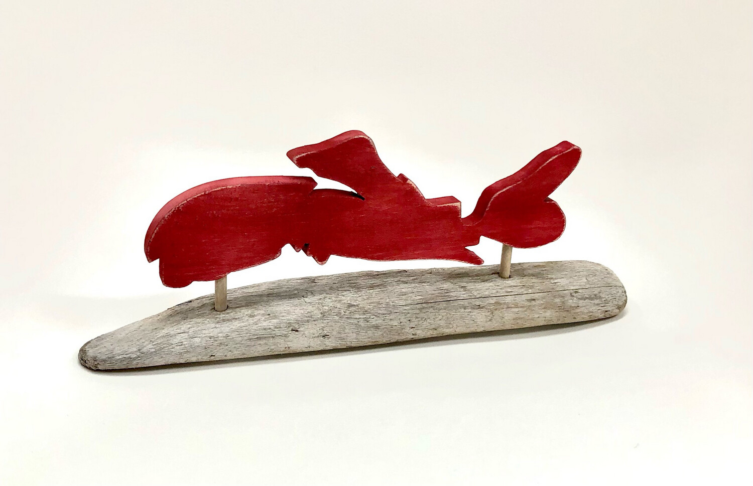 Large Red Nova Scotia on Driftwood- Jerry Walsh