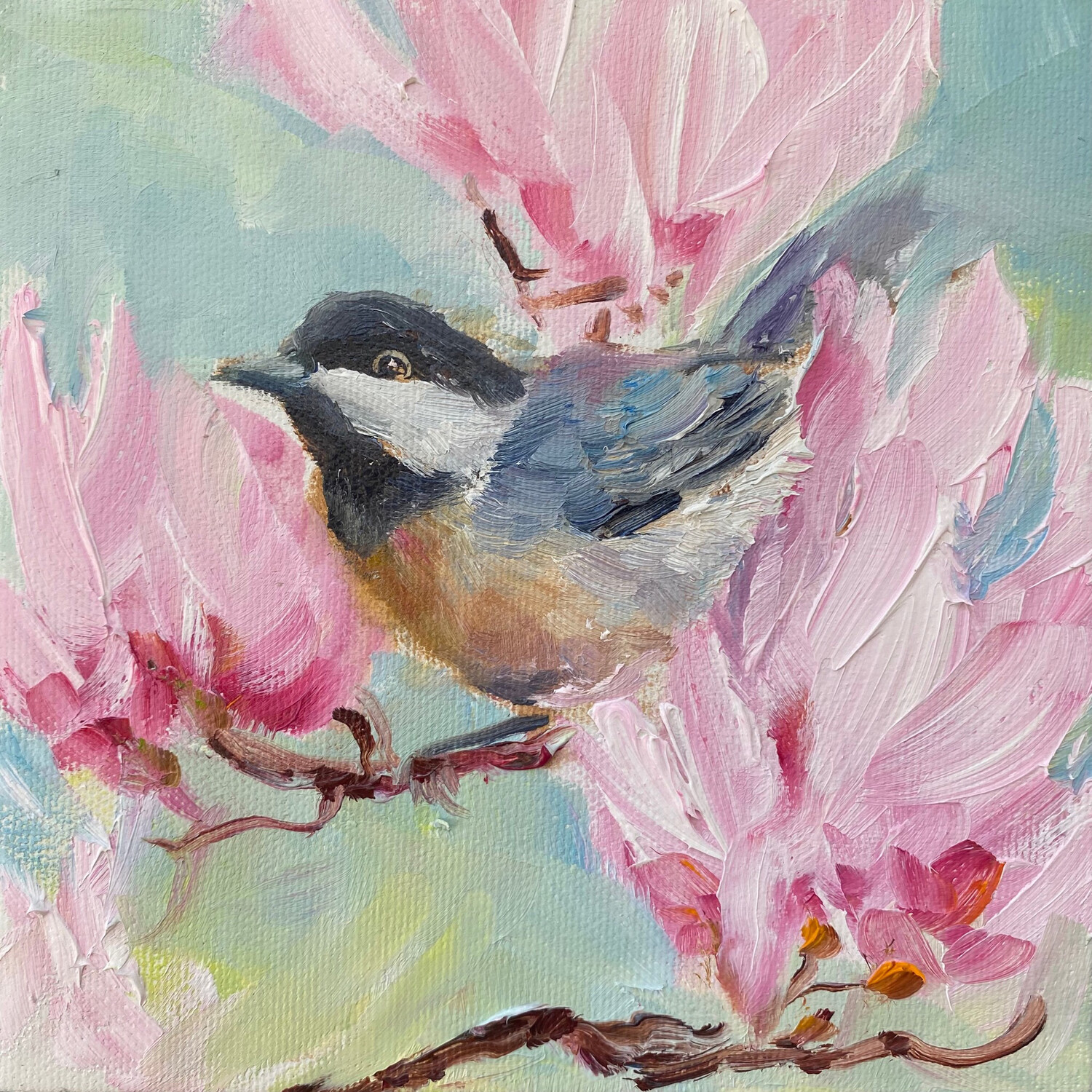 Tickle me Pink, Chickadee 