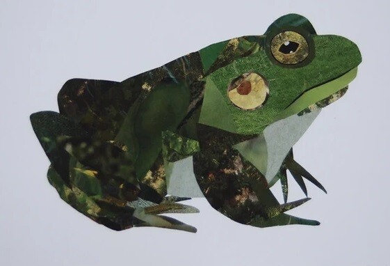 Frog Collage Print