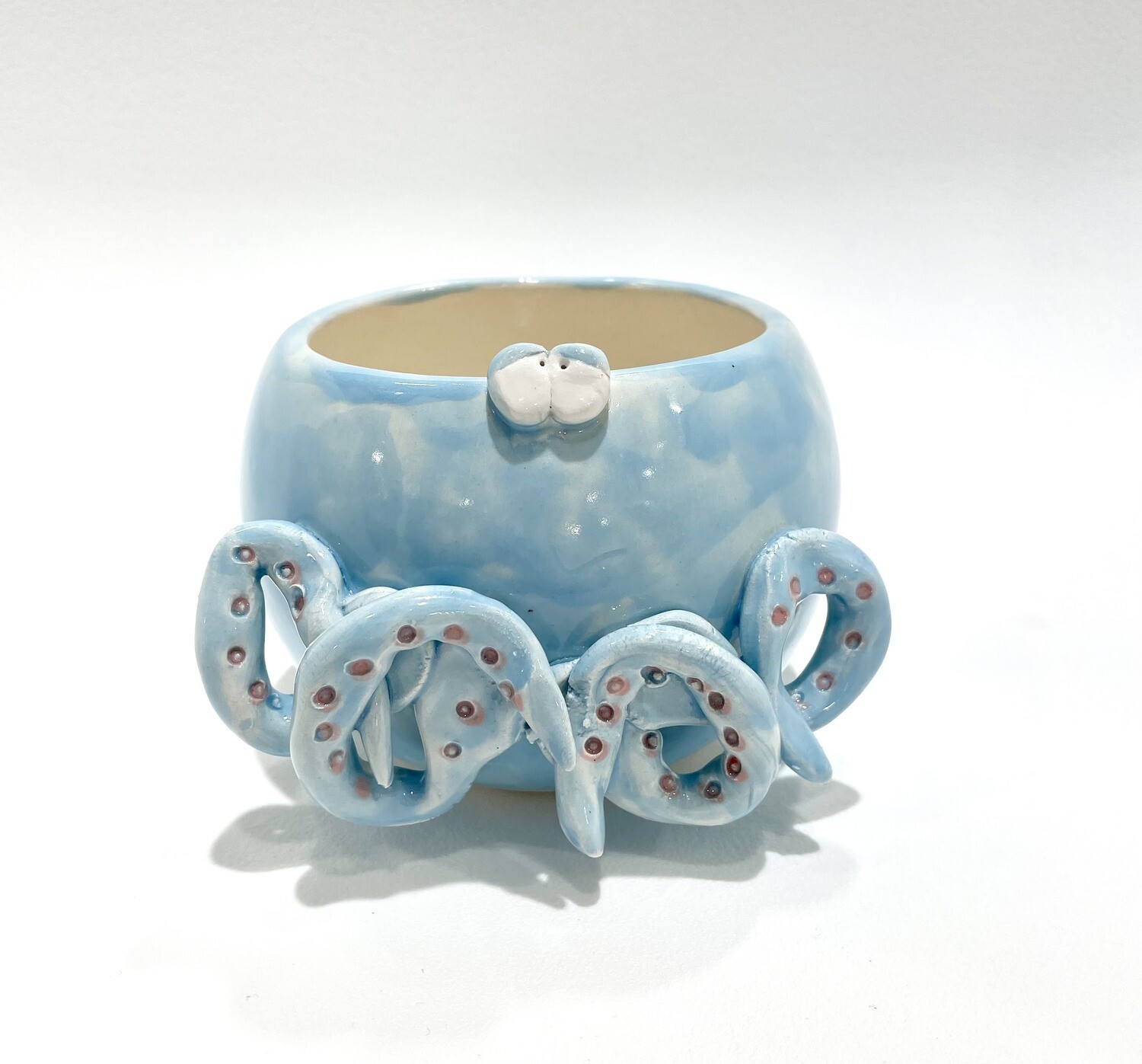 Small Octopus Planter - Clayton Dickson