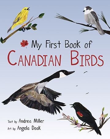 My First Book of Canadian Birds 
