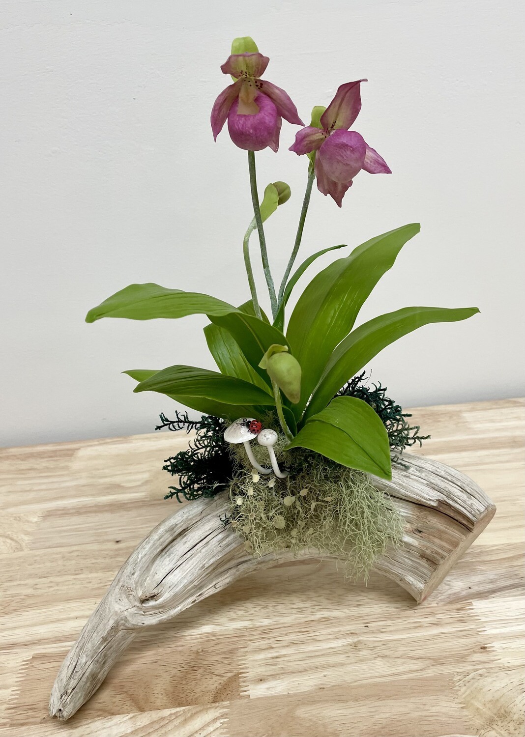 Pink Lady Slipper Orchids on Driftwood 