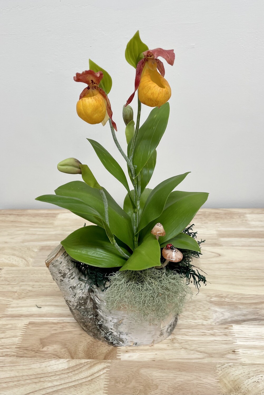Orange Lady Slipper Orchid on Wood