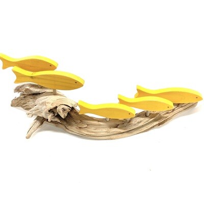 Yellow 5 Fish School - Jerry Walsh