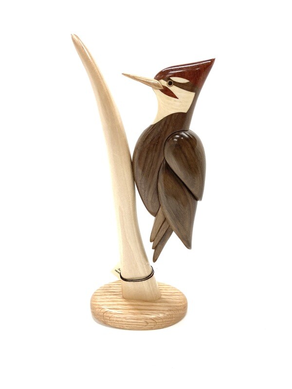 Pileated Woodpecker Arbour Pileated Woodpecker Arbour