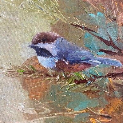 In the Thicket of Things, Boreal Chickadee