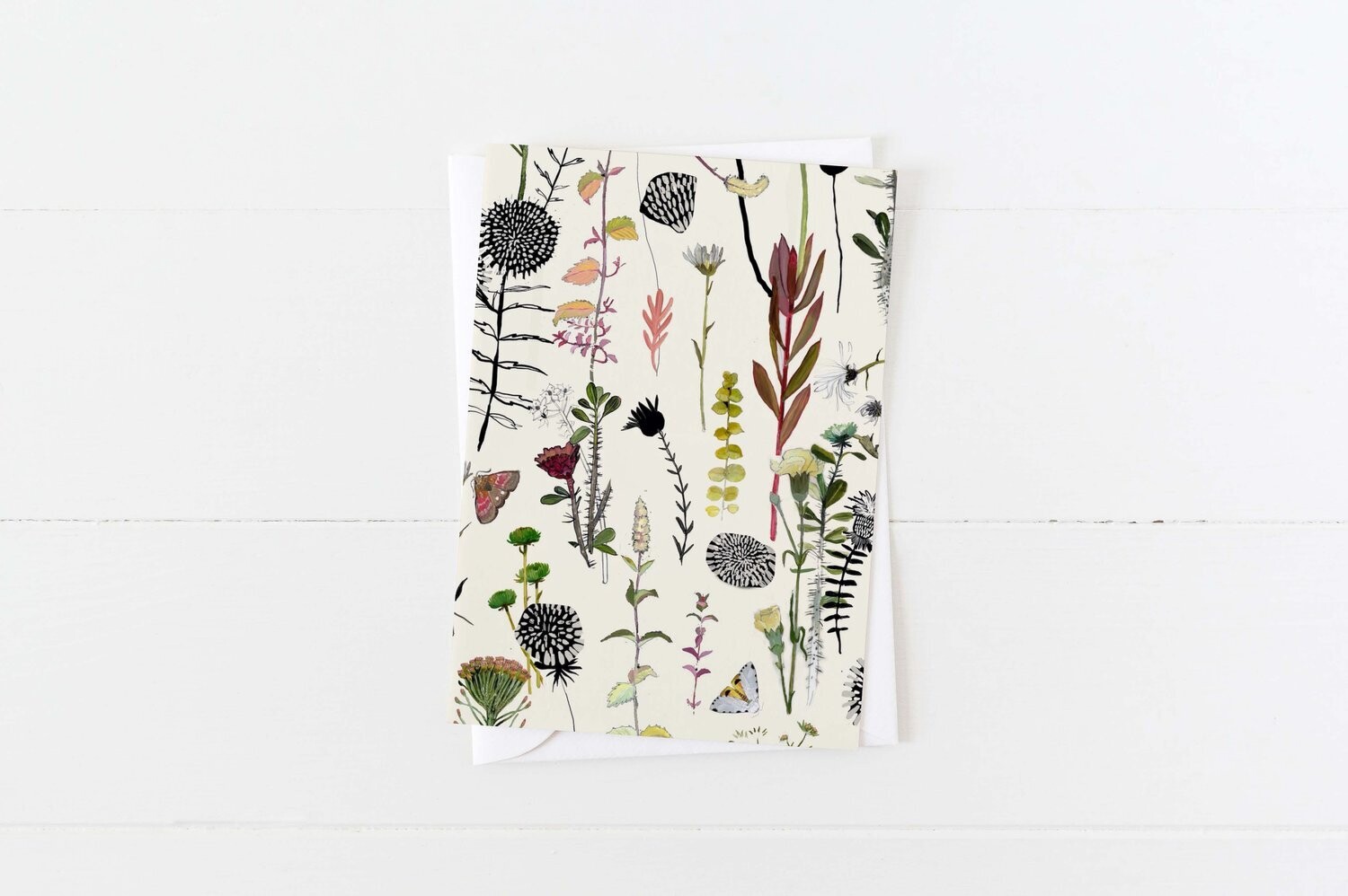 Botanical Pattern Card- Briana Corr Scott 