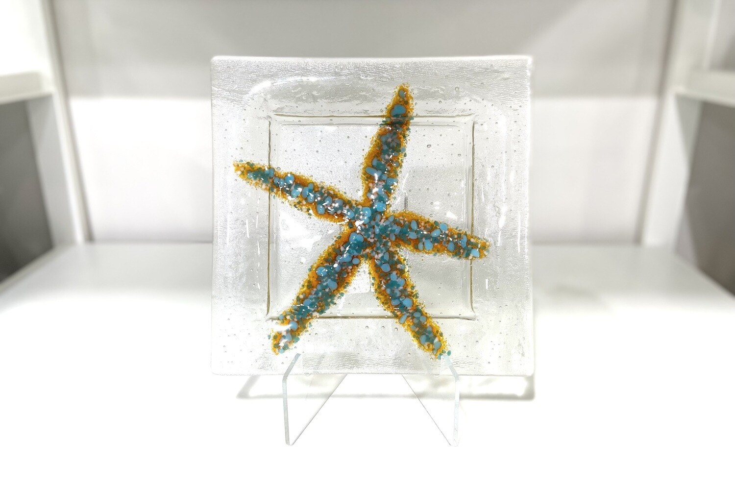 9x9 Sea Star Plate- Kiln Art