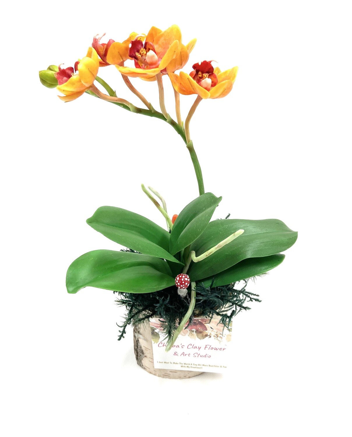Large Orange Clay Orchids