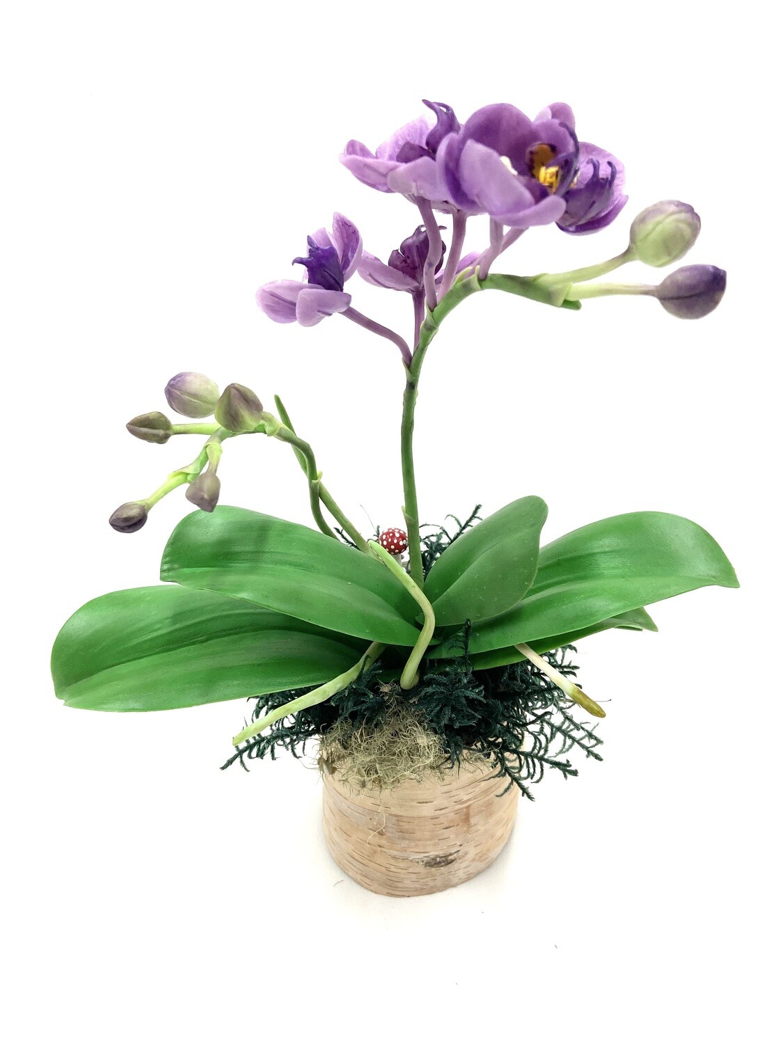 Large Purple Clay Orchids