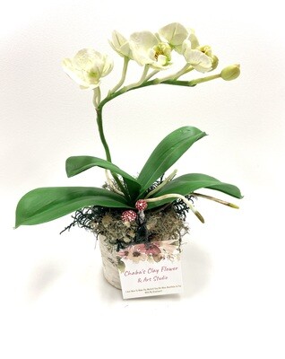 Large Pastel Mint Clay Orchids