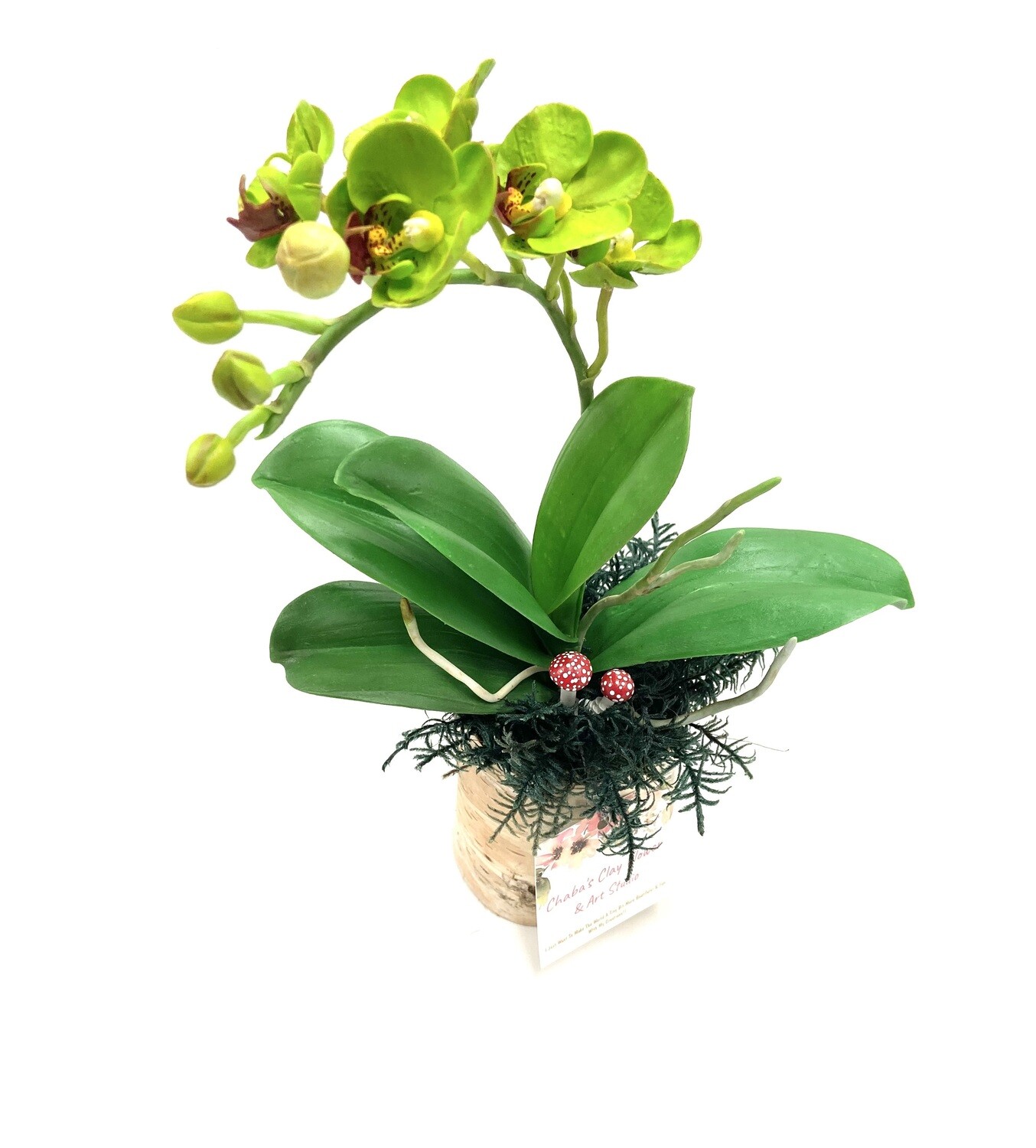Large Green Clay Orchids
