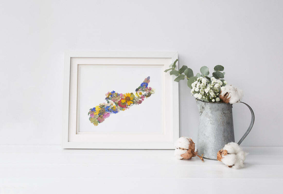 Nova Scotia Flower Print - Seek & Bloom Nova Scotia Flower Print - Seek & Bloom