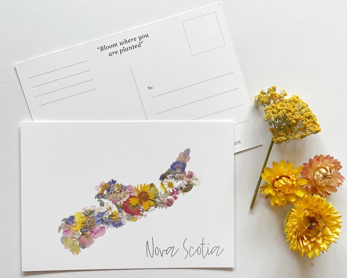 Nova Scotia Postcards Set of 6 - Seek & Bloom