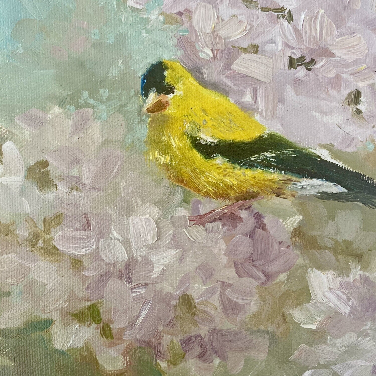 Thoughts? Goldfinch 