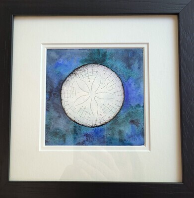 Sand Dollar on Watercolour Background 